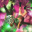 fallback