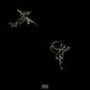 fallback