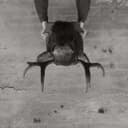 fallback
