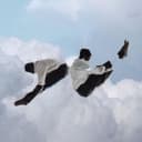 fallback