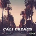 fallback