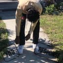 fallback