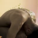 fallback