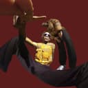 fallback