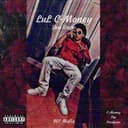 fallback