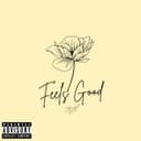 fallback