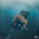 fallback