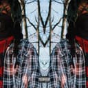 fallback