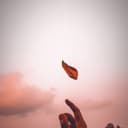 fallback