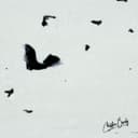 fallback