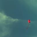 fallback