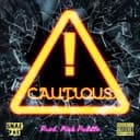 fallback
