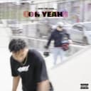 fallback