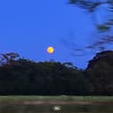 fallback