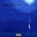 fallback