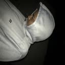 fallback