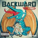fallback
