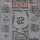fallback