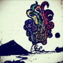 fallback