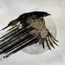 fallback