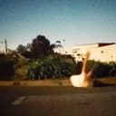 fallback