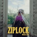 fallback
