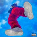 fallback