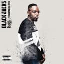 fallback