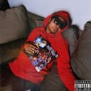 fallback
