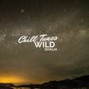 fallback
