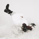 fallback