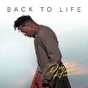 fallback