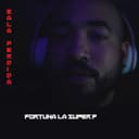 fallback