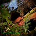 fallback