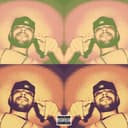 fallback