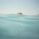 fallback