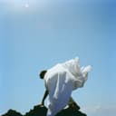 fallback