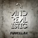 fallback