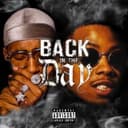 fallback