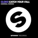 fallback