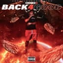 fallback