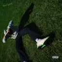 fallback