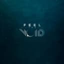 fallback