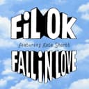 fallback