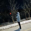 fallback