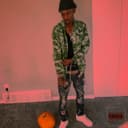 fallback