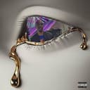 fallback