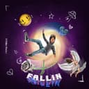fallback