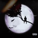 fallback