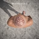 fallback